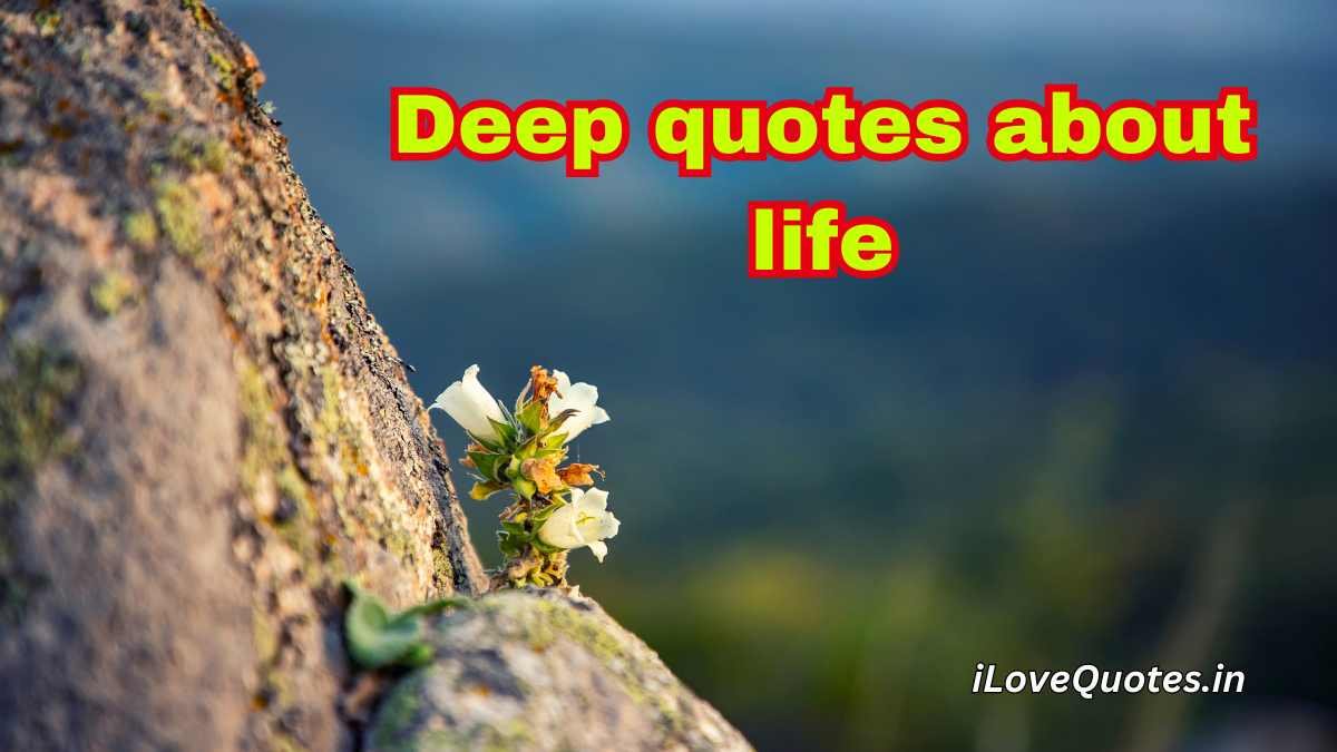 Life’s Deep Wisdom 95+ Quotes to Reflect On